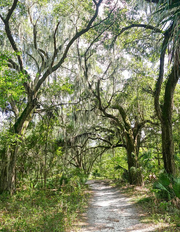 Click to See Next Image